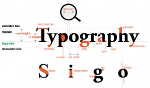 typo anatony - typography cơ bản